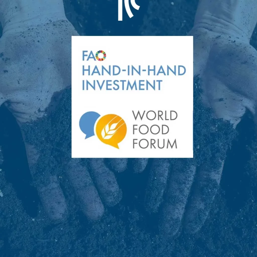 Sessione Informativa del Forum di Investimento Hand-in-Hand 2024