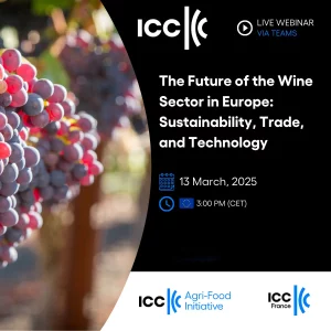 The future of the Wine Sector in Europe