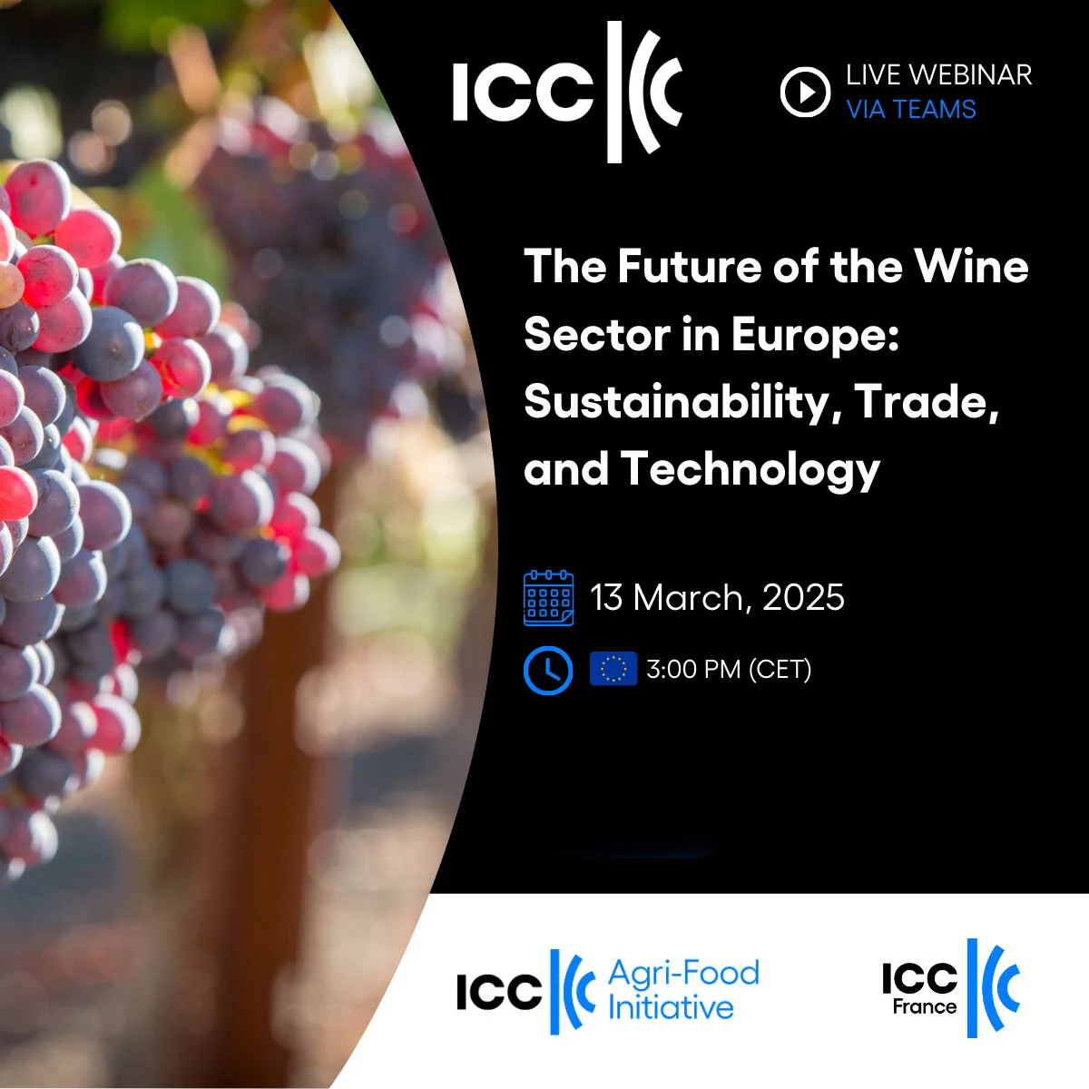 The future of the Wine Sector in Europe