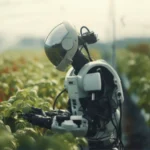 Tavola rotonda sulle implicazioni dell’Intelligenza Artificiale nel settore agroalimentare
