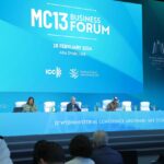 Un bilancio della MC13: la posizione di ICC