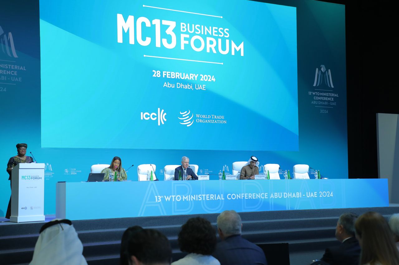 Un bilancio della MC13: la posizione di ICC