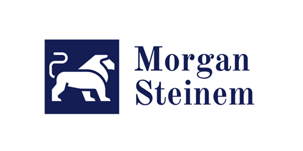 Morgan Steinem & Co Ltd