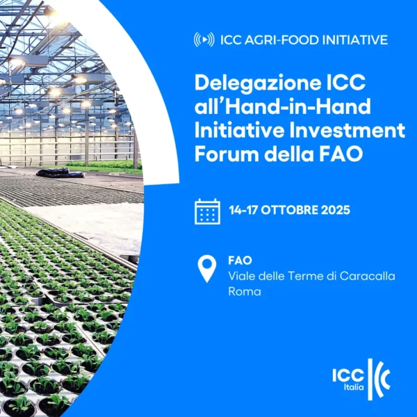Delegazione ICC all’Hand-in-Hand Initiative Investment Forum