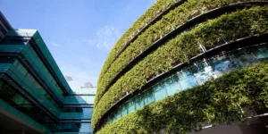 ICC completa il framework globale per la finanza sostenibile nel commercio