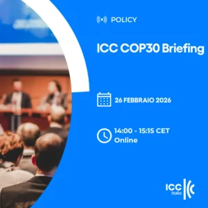 ICC COP30 Briefing | Policy