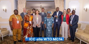 Preoccupazione del mondo delle imprese per l’esito della MC 14 WTO